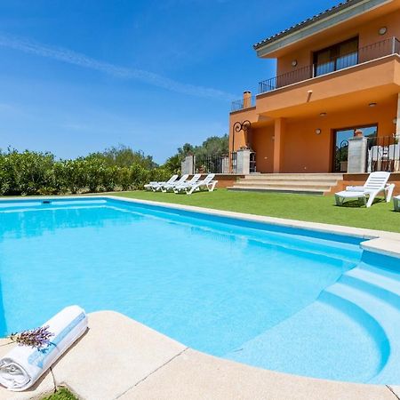 Ideal Property Mallorca - Son Fe Pensionat Alcudia  Eksteriør billede