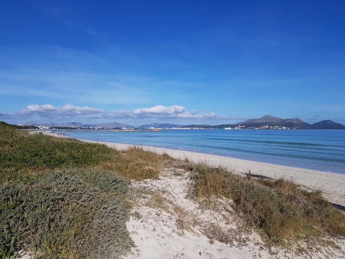 Ideal Property Mallorca - Son Fe Pensionat Alcudia  Eksteriør billede